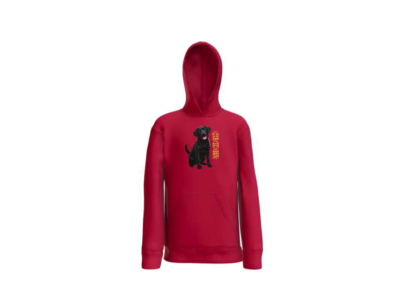 Youth Dog Collection Hoodie