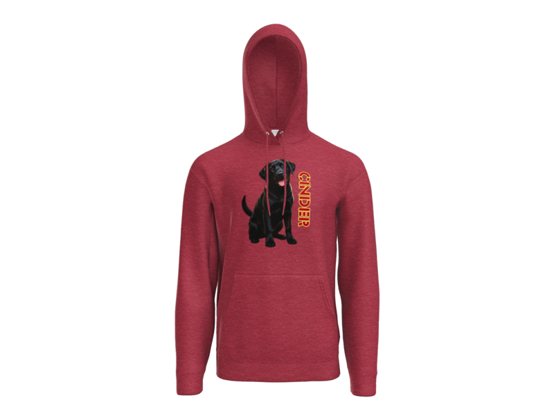 Adult Dog Collection Hoodie